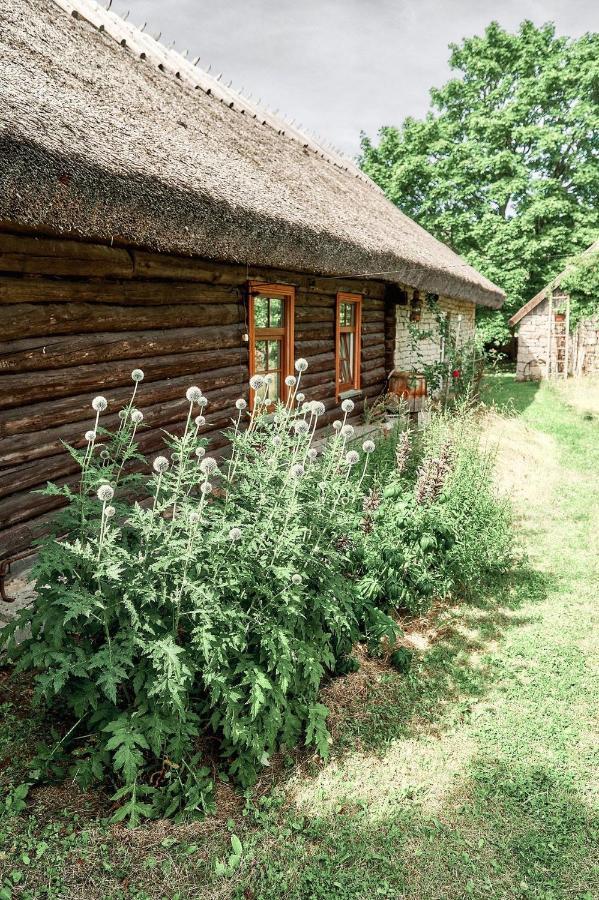 Matsi Cottage Igaküla Eksteriør bilde