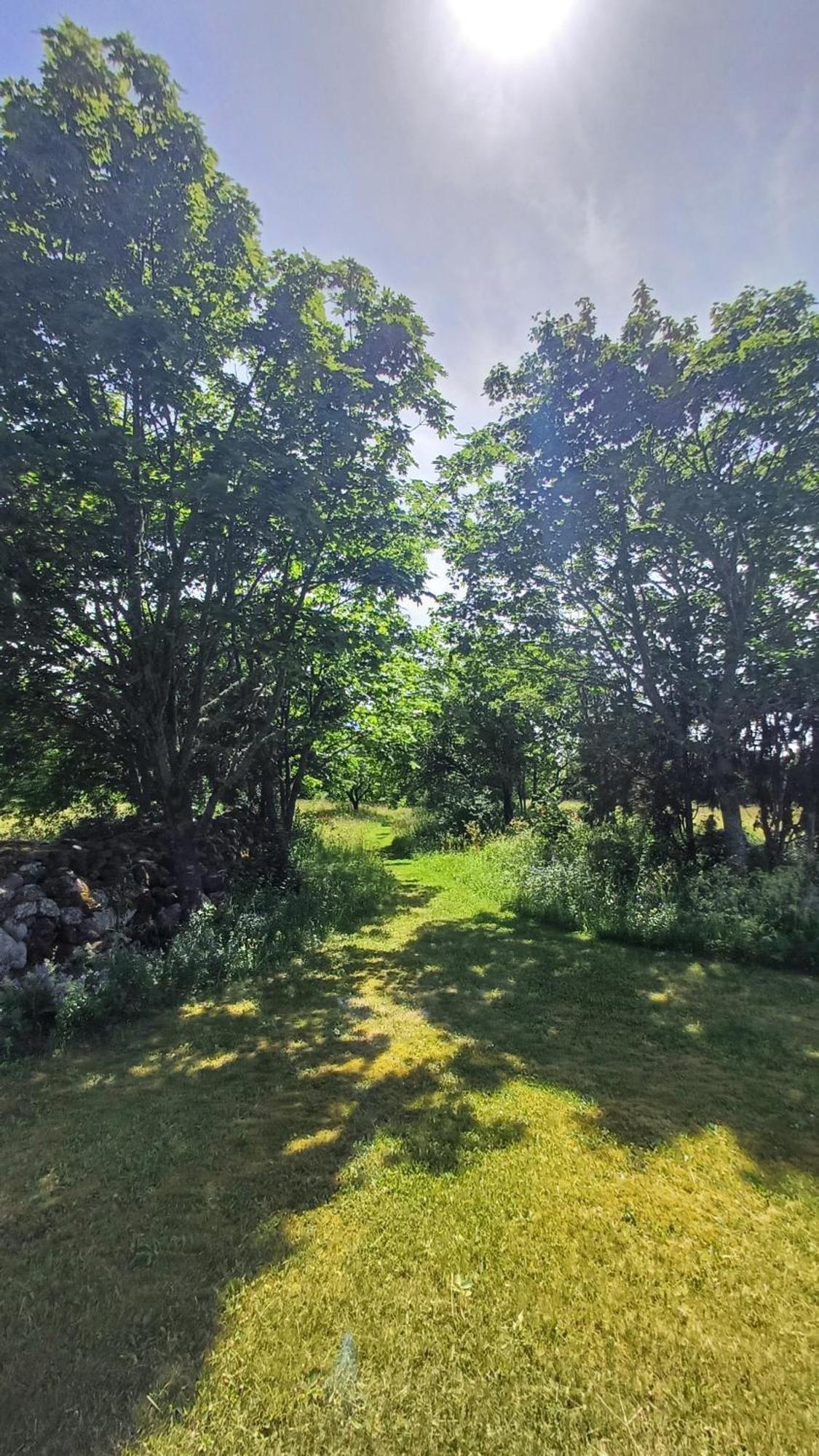 Matsi Cottage Igaküla Eksteriør bilde